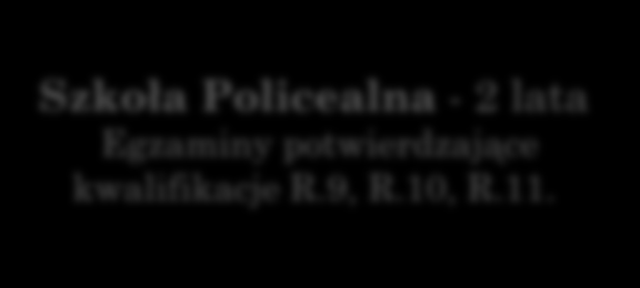 GIMNAZJUM JAK ZOSTAĆ TECHNIKIEM WETERYNARII? Technikum - 4 lata Egzaminy potwierdzające kwalifikacje R.9, R.10, R.11.