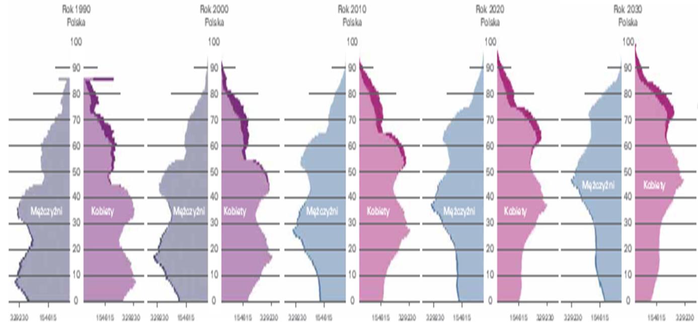 Obraz demograficznego tsunami Feminizacja starości