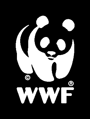 WWF (WORLD WILDLIFE FOUND) WWF powstało w 1961 roku. Jest to organizacja proekologiczna o zasięgu ogólnoświatowym.