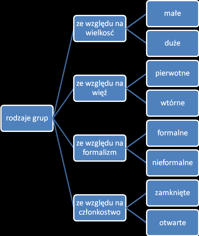 9. sposób komunikowania się (np. specjalny żargon), wchodzenie w interakcje.