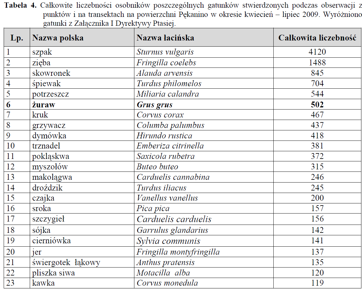 W okresie legowym od kwietnia do lipca 2009 podczas liczenia stwierdzono 116 gatunków ptaków a łączna suma stwierdzonych osobników wyniosła 14818.