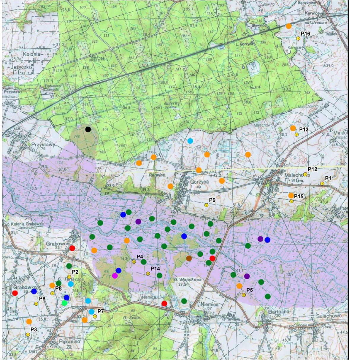 Budowa Farmy Wiatrowej Radwanice wraz z infrastrukturą towarzyszącą Rys. 21.