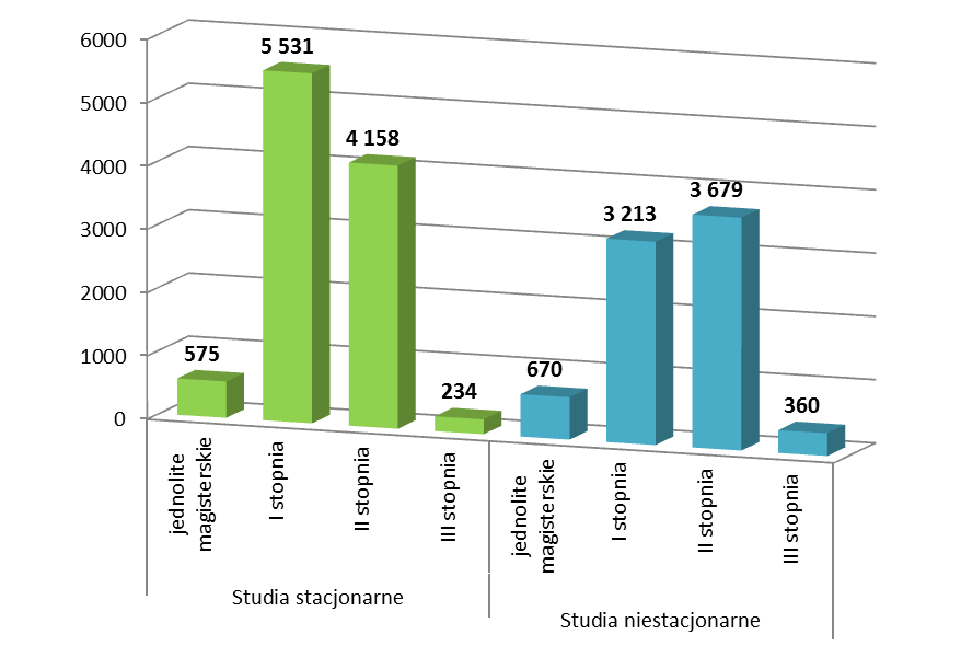 w roku akademickim 2012/2013 w podziale na poziom i formę studiów.