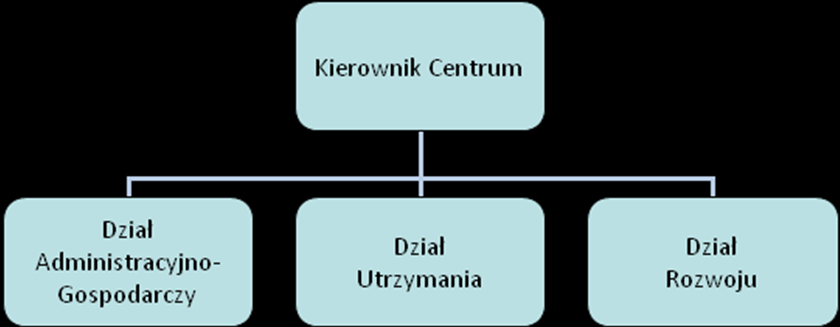 2 J. Doliński (ZK). Schemat przepływów informacji przez Centrum przedstawia rysunek 1.