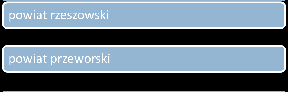 Zestawienie 9 Turyści zagraniczni w powiecie rzeszowskim i przeworskim Źródło: opracowanie własne na podstawie danych GUS Należy zwrócić uwagę, iż część terenów wiejskich składających się na PDOW,