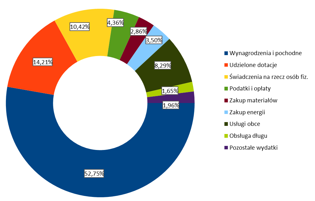 Struktura wykonania za I półrocze 2014r.