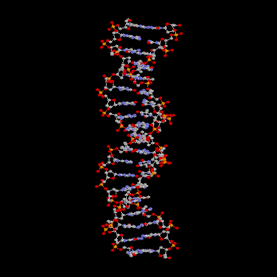 GENOM JĄDROWY CZŁOWIEKA: 2 m DNA 3 mld par zasad 46 chromosomy autosomowe (23 pary)