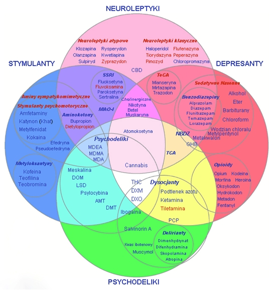 Turkusowy: Pokrywanie się stymulantów (niebieski) i psychodelików(zielony) - Psychodeliki, które mają też działanie stymulujące Żółty: Pokrywanie się depresantów (czerwony) i dysocjantów (zielony) -