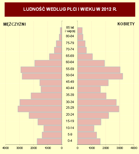 Wybrane dane statystyczne 2010 2011 2012 Ludność 60659 60222 60032 Ludność na 1 km 2 1751 1739 1733 Kobiety na 100 mężczyzn 103 104 104 Ludność w wieku nieprodukcyjnym na 100 osób w wieku