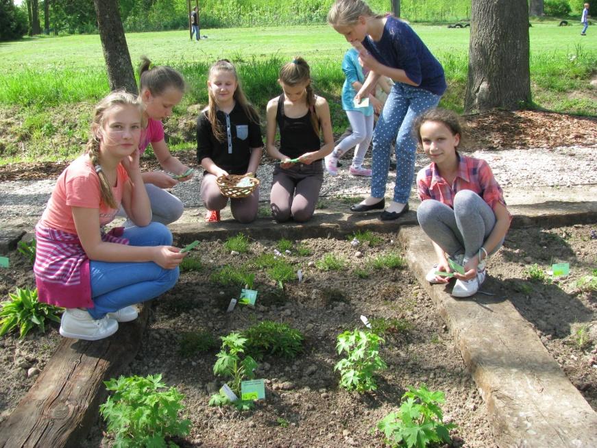 MYŚLIMY LOGICZNIE DZIAŁAMY EKOLOGICZNIE Takie hasło przyświeca naszej działalności.