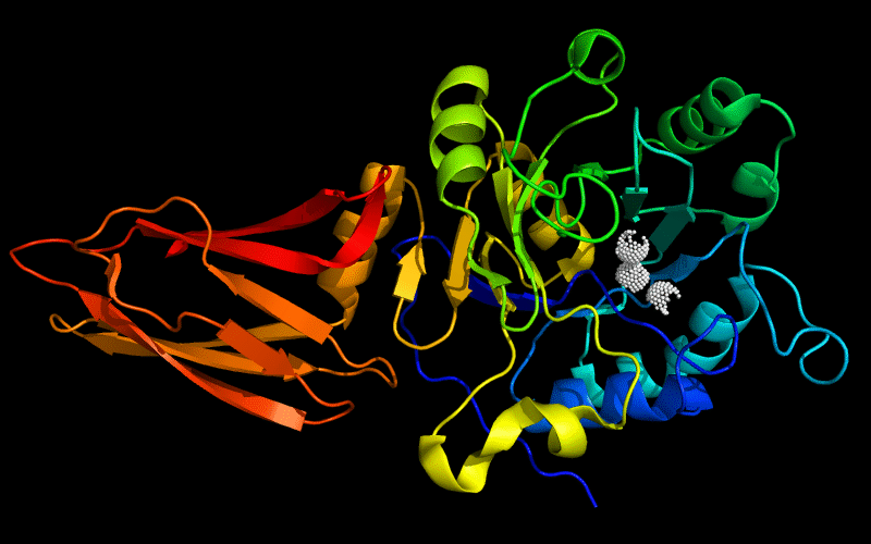 T0407 PHP metal-dependent phosphoesterase (YP_001300751.