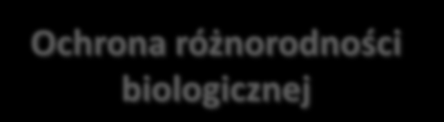 kanalizacyjno-wodociągowa Ochrona różnorodności