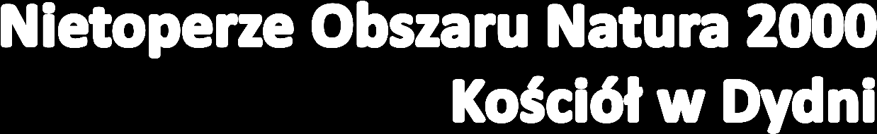 Krzysztof