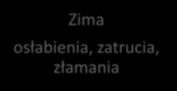 Wiosna młode osobniki, złamania Zima osłabienia, zatrucia, złamania Lato