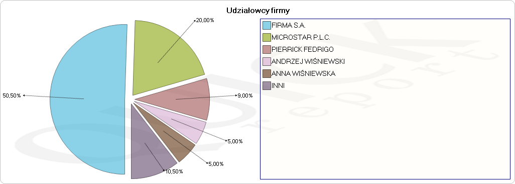 Struktura udziałowców ANDRZEJ WIŚNIEWSKI Udział procentowy 5 % ANNA WIŚNIEWSKA Udział procentowy 5 % KORPORACJA S.A. Udział procentowy 100 % Zatrudnienie 500 Obroty 8 126 650 tys.