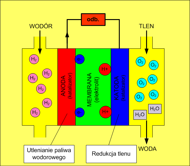 Reakcje w ogniwie paliwowym Anoda: 2H 2 4H