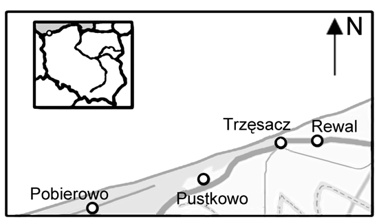 Zadanie 20. Na poniższym rysunku zaznaczono położenie czterech miejscowości nadmorskich. Po zwiedzeniu Trzęsacza pojedziesz do Rewala. Rewal w stosunku do Trzęsacza jest położony w kierunku A.