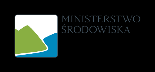 ORGANY WIODĄCE W RESORCIE ŚRODOWISKA Tematy danych przestrzennych z ustawy o IIP Minister Środowiska 5 tematów (I.9, III.12, III.13, III.14, III.19) Główny Geolog Kraju 3 tematy (II.