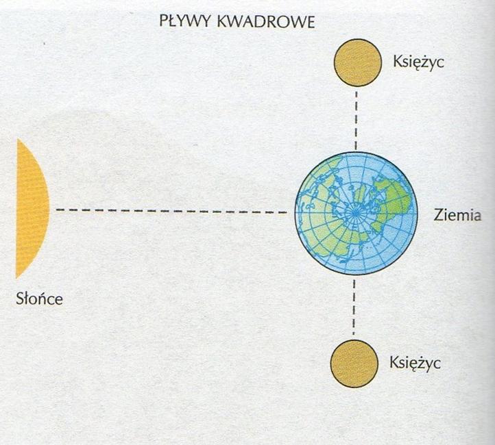 Pływy syzygijne Pływy kwadrowe Powstają kiedy Ziemia, Słońce i Księżyc znajdują się w jednej linii, co ma miejsce w czasie pełni lub nowiu Księżyca, wówczas siły przyciągania Słońca i