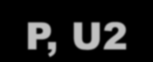 P, U2 tereny zabudowy produkcyjno-usługowej: Obejmuje projektowaną zabudowę funkcji przemysłowej związanej z lokalizacją obiektów produkcyjnych, składów, magazynów, centrów logistycznych, baz