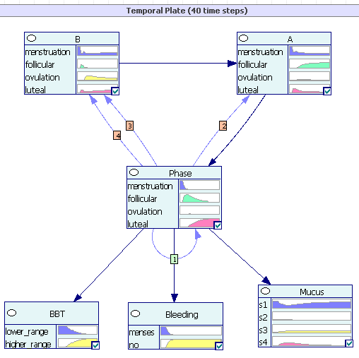Rysunek 7. Przykładowa sieć czwartego rzędu modelu CPT (a) oraz odpowiadający mu model SL (b). Modele SL wykazują zazwyczaj wyższy procent dni fałszywie pozytywnych.