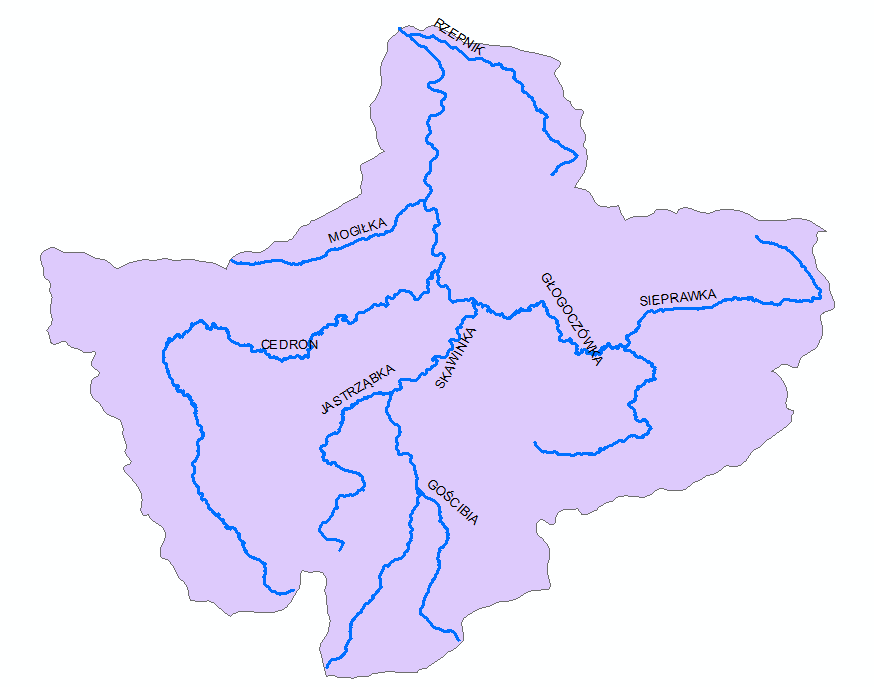 Czekajówka - prawobrzeżny dopływ Skawinki (starorzecza Skawinki) odprowadzająca wodę terenu Skawiny, zlewnia o pow.