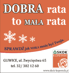 pl JEDYNA BEZPŁATNA GAZETA zprogramemtv str ❸ Możeszdostać odszkodowanie Zarząd Dróg Miejskich w Gliwicach odpowiada za szkody komunikacyjnei zdrowotne zaistniałe na drogach publicznych na terenie