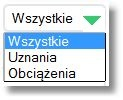 Po wyborze ikonki użytkownik ma możliwość: zastosowania filtru prostego (według zakresu dat lub z ostatnich 30/60/90 dni), wybór ikonek oraz dostępnych dla pól z parametrami wyszukiwania umożliwa