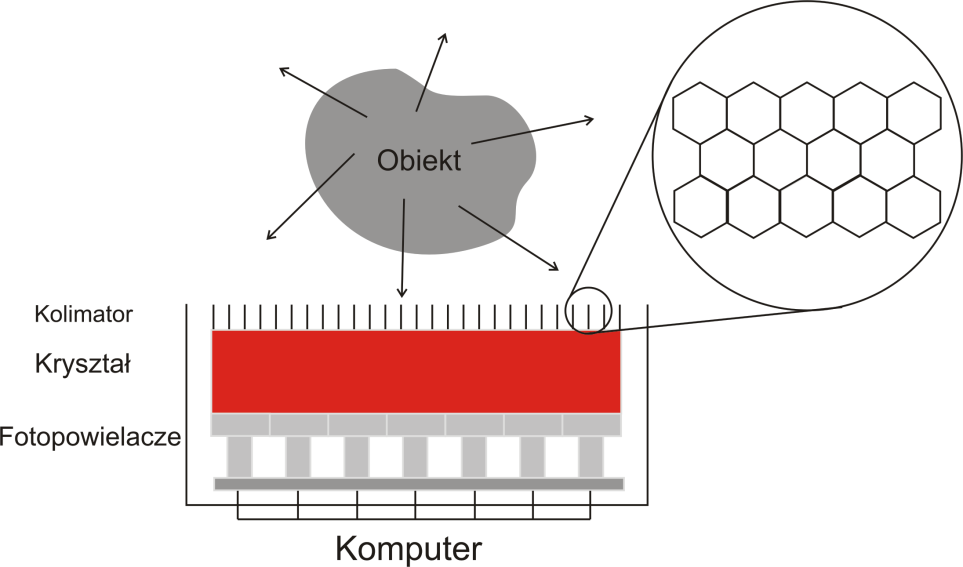 Rys. 20. Schemat budowy gamma kamery. Kolimator zapewnia rzutowanie rozkładu aktywności promieniowania na powierzchnie kryształu scyntylacyjnego (scyntylatora).