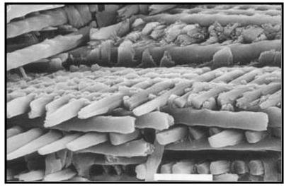 jak kości budują krystality, związki te tworzą długie cylindry (150 1000) nm długości o przekroju kołowym lub sześciokątnym (40 100) nm ułożone prostopadle do osi długiej zęba.