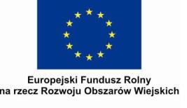 organizację pozarządową (NGO) z obszaru objętego działalnością Stowarzyszenia Bursztynowy Pasaż Lokalnej Grupy Działania (LGD). 2.