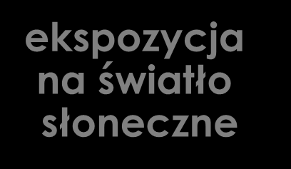 Czynniki niepodlegające modyfikacji płeć K>M rasa (biała) kolor tęczówki (jasna) wiek AMD uwarunkowania genetyczne palenie tytoniu ekspozycja na światło słoneczne