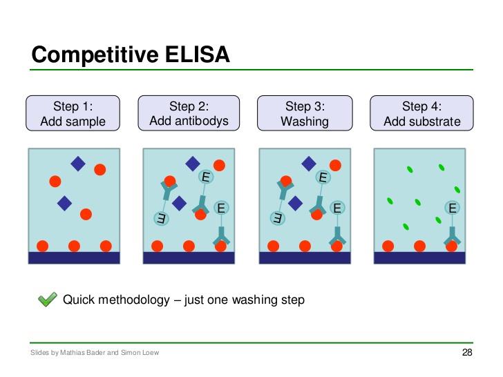 Kompetycyjny test ELISA W kompetycyjnych (rywalizacyjnych) testach ELISA (c-elisa, z ang.