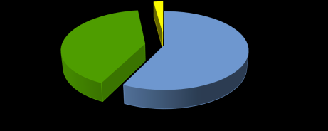 Struktura paliw wykorzystywanych w transporcie w roku 2013 10% Struktura paliw wykorzystywanych w transporcie w roku