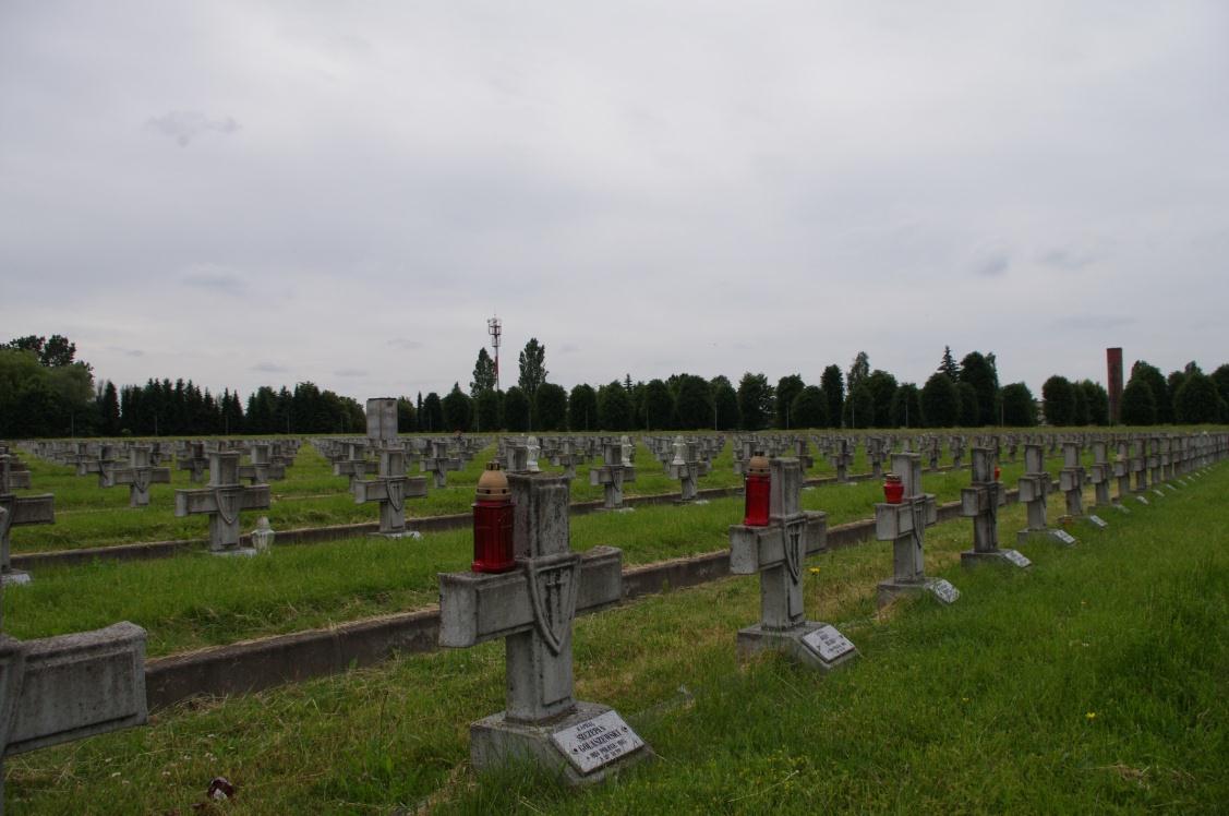 Muzeum Łużyckie Ryc. 10. Cmentarz Żołnierzy II Armii Wojska Polskiego Źródło: Archiwum autora Muzeum Łużyckie mieści się w zabytkowej kamienicy przy ul. Daszyńskiego 15.