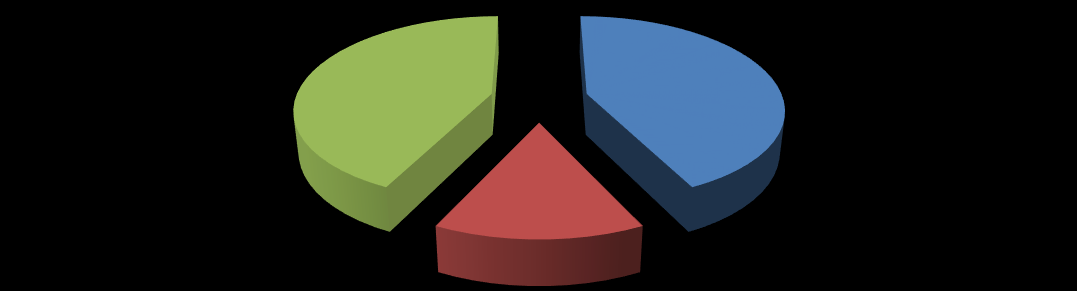 Miejsce zamieszkiwania respondentów N=21 33% 33% 14% 5% 5% 10% 1/3 respondentów mieszka w Sanoku (33%), 14% zamieszkuje w różnych miejscach powiatu sanockiego, po 5% w sąsiednim powiecie oraz