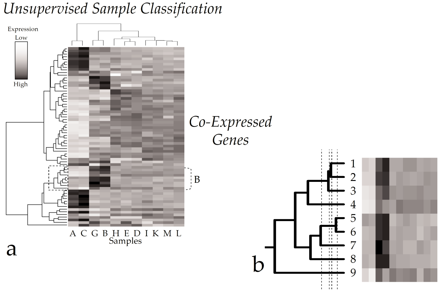 Analiza eksploracji danych - klastrowanie Podwójne hierarchczne klastrowanie wartości ekspresji genów (heatmap) w wierszach znajdują się geny, a w kolumnach próbki.
