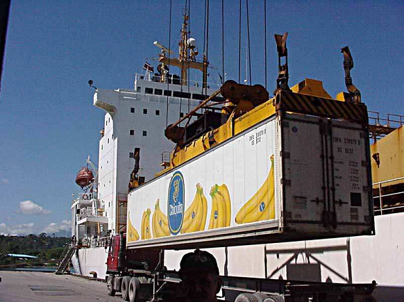 Porównanie transportów bananów Zalety i wady ładowni chłodniczych : - Są uniwersalne, dzięki czemu możliwe jest zastosowanie ładowni dla wielu produktów (nie tylko bananów).