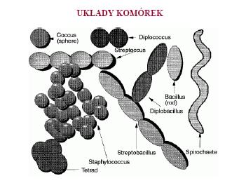 mikroskopem Podstawowe kształty