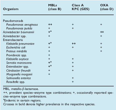 Zdolność szczepów P.aeruginosa i A.