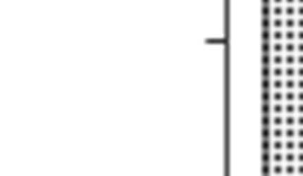 dobry surowa marchew 0,5% kw. cytr.