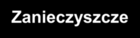 Mieszanina wysoko i średnio dyspersyjnych cząstek stałych (pyłu spawalniczego) oraz substancji chemicznych (gazów).