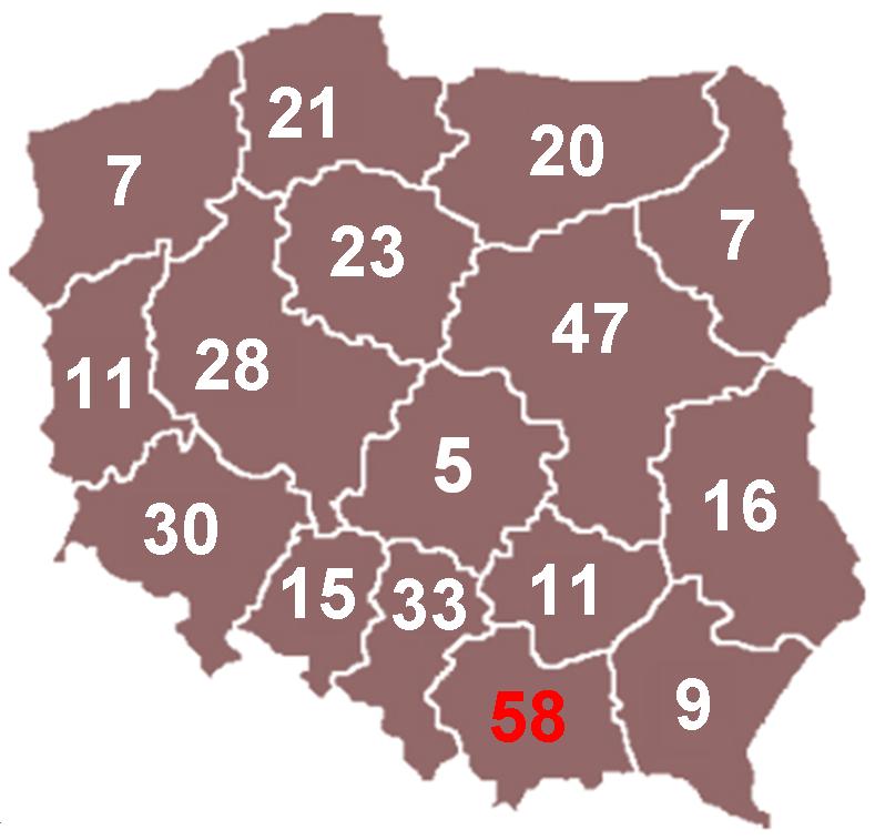 Liczba ogłoszeń wg województw (2009-2014) Do liderów stosowania formuły PPP w Polsce należą województwa: małopolskie, mazowieckie,