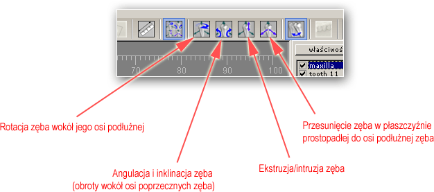 Aby manipulować zębem przy pomocy myszki należy po wybraniu zęba i trybu manipulacji, ustawić kursor myszki w dowolnym miejscu obszaru roboczego, wcisnąć lewy przycisk myszki i trzymając go poruszać