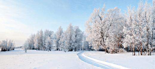 Gdy nie ma - czekamy, gdy jest - narzekamy. To zima: śnieg, mróz, czas aromatycznych herbatek, bo wtedy bardziej smakują, czas ognia w kominku, który ogrzewa ciało i duszę.