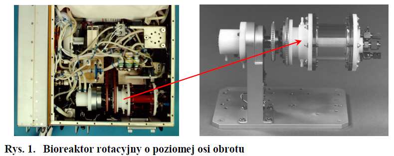 stawowej w zależności od wieku J.