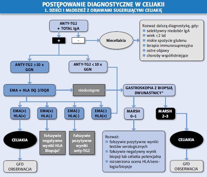 Pediatria.