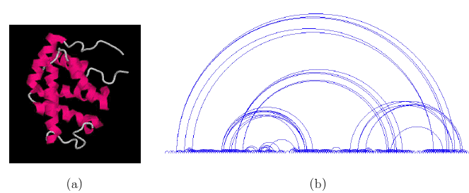 Porównywanie struktur przy wykorzystaniu CAO Struktura 1 (a) struktura natywna (b) mapa odległości Struktura 2 (a) struktura natywna (b) mapa odległości źródło: A