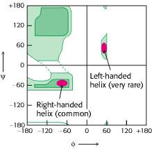 Wykres Ramachandrana (Biochemistry, Jeremy