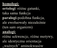 homologi: ortologi -różne gatunki, taka sama funkcja paralogi-podobna funkcja, ale ewoluowały niezależnie (ten sam organizm) analogi: